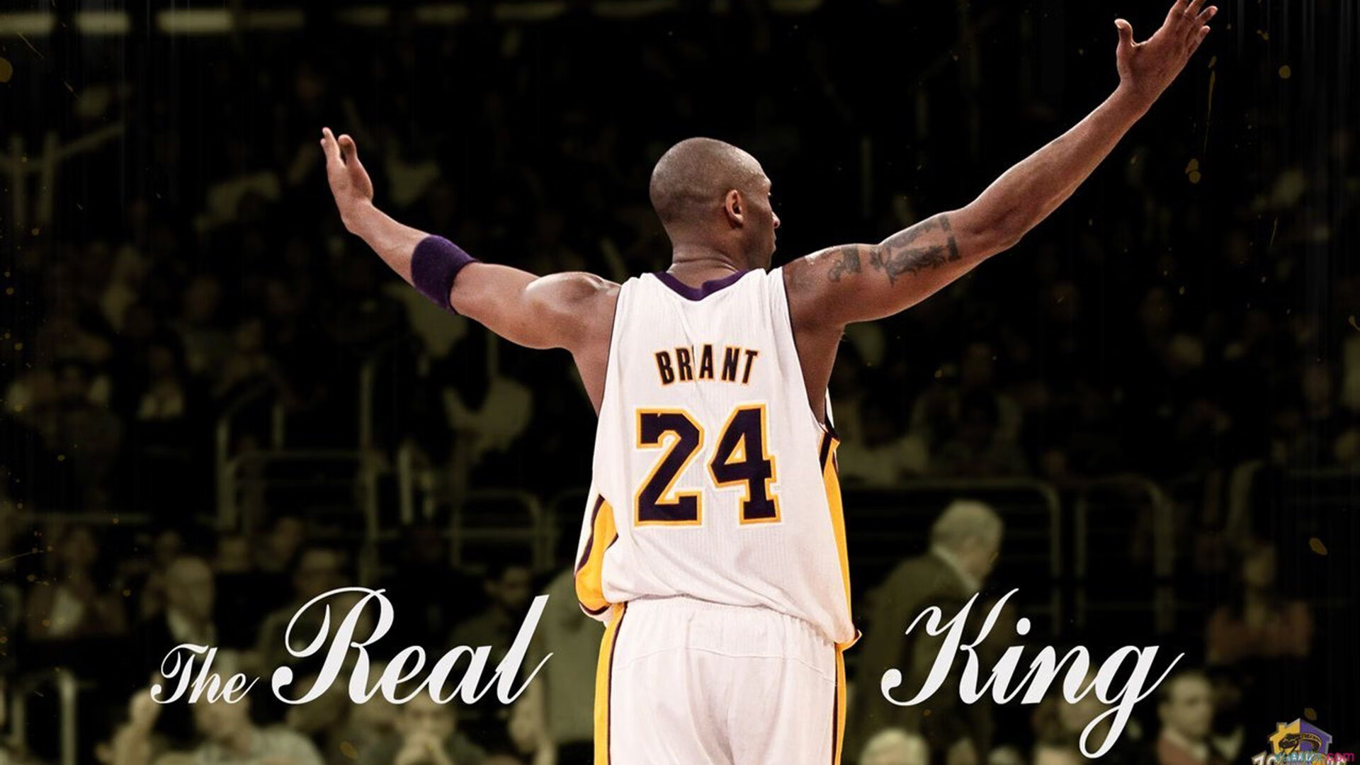 中小学篮球比赛观摩机制启动为体教融合搭建常态桥梁,中小学生篮球比赛方案