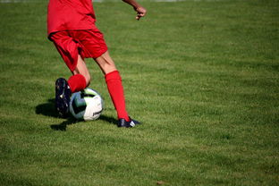 乐鱼体育在线入口-CBA球队完善伤病防护体系保障运动员健康和职业生涯，cba球员伤情报告